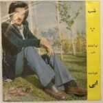 دانلود آهنگ خاطره انگیز ماهی تنگ بلور (شب) از ابی