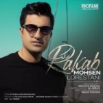 دانلود آهنگ جدید محسن لرستانی به نام رکب